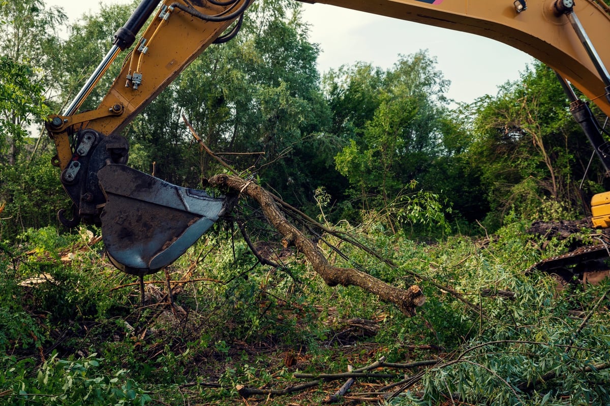 Heavy excavators clearing vegetation on a large land management project