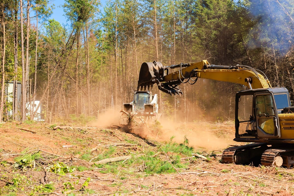 Excavators removing trees and debris from a forested property to prepare the land