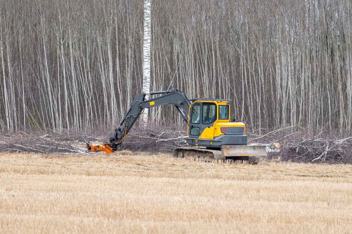 Excavator clearing branches and vegetation along a forest edge